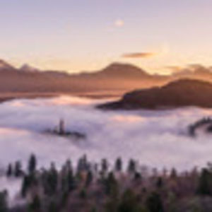 Meet your Posher, Genesis